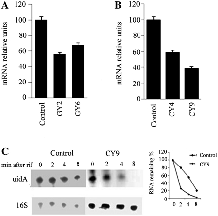 Figure 7.