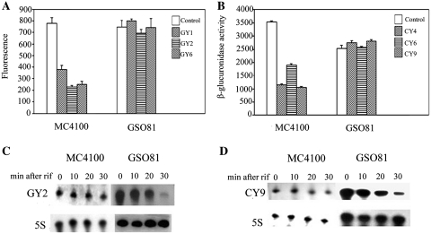 Figure 6.