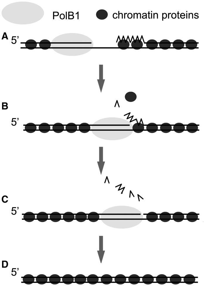 Figure 9.