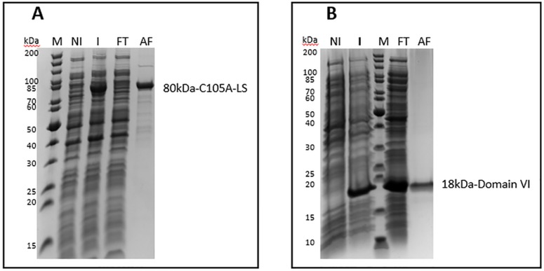 Fig 6