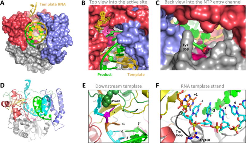 Figure 4