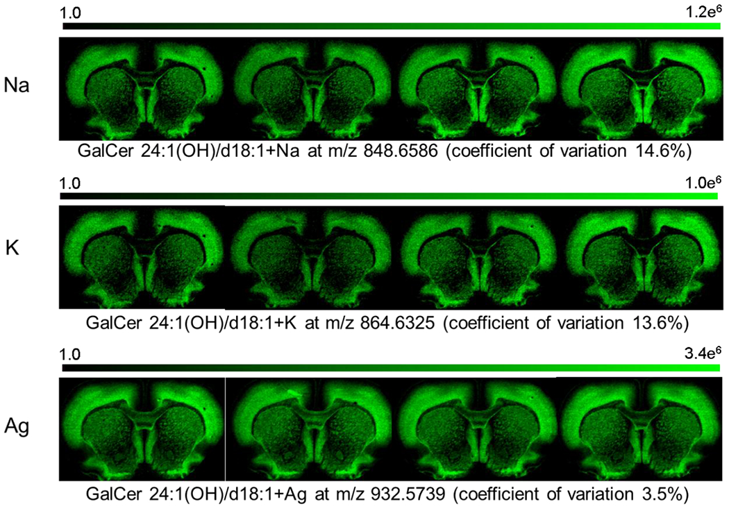 Figure 6