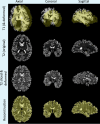 Appendix 1—figure 1.