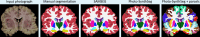 Appendix 1—figure 3.