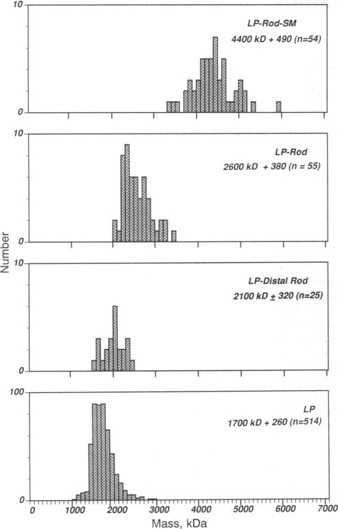 graphic file with name pnas01085-0034-a.jpg