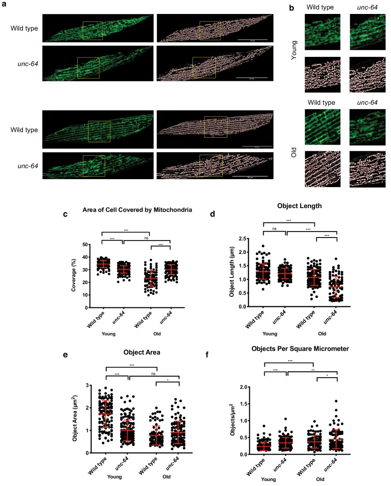 Figure 4—figure supplement 6.