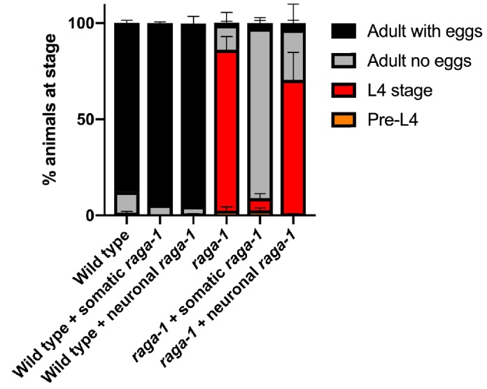 Figure 2—figure supplement 3.