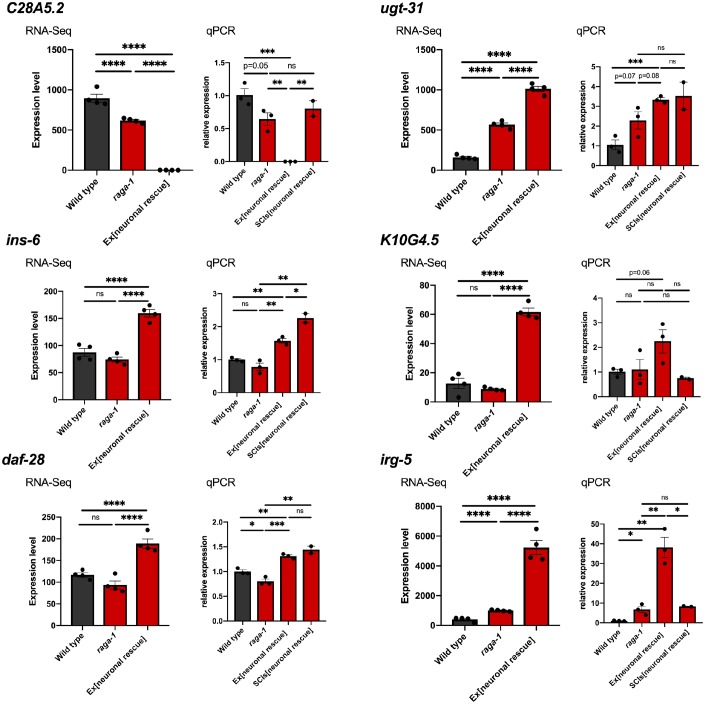 Figure 3—figure supplement 2.