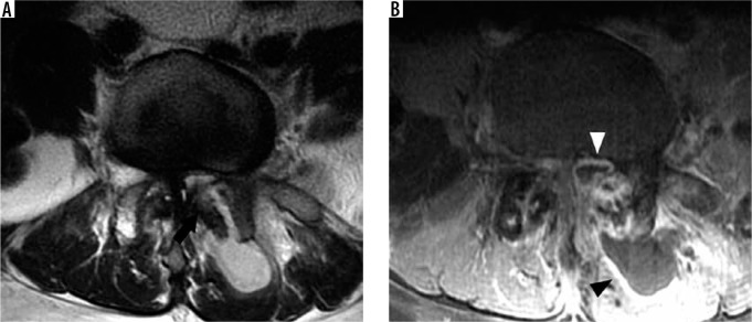 Figure 29