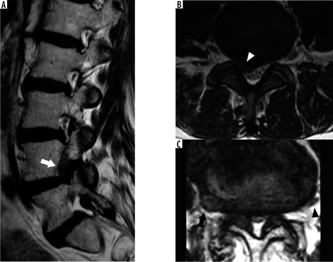 Figure 19