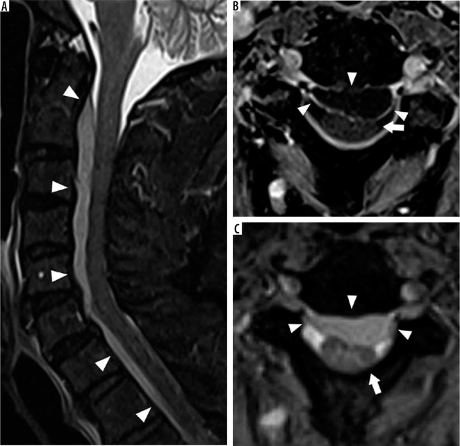 Figure 27