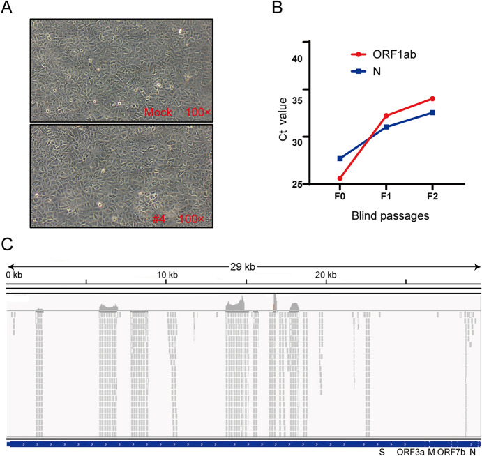 Fig. 4