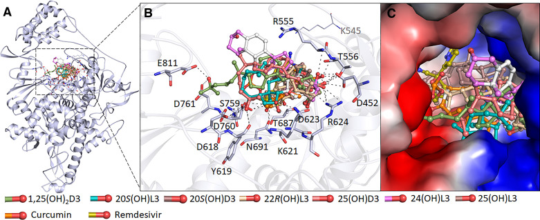 Figure 2.