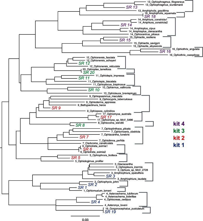 Fig. 3.