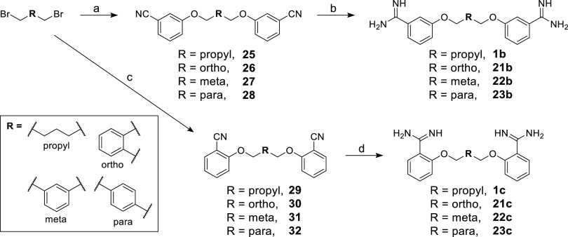 Scheme 3