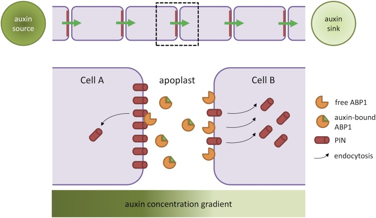 Figure 3.