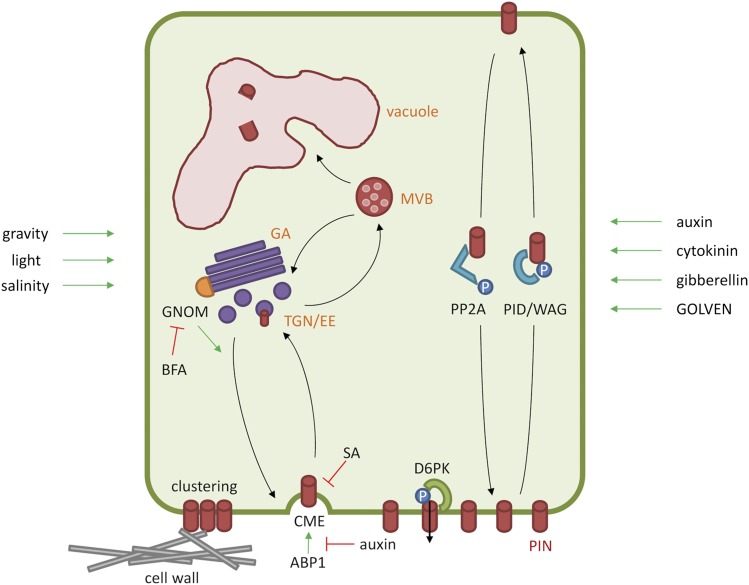 Figure 2.