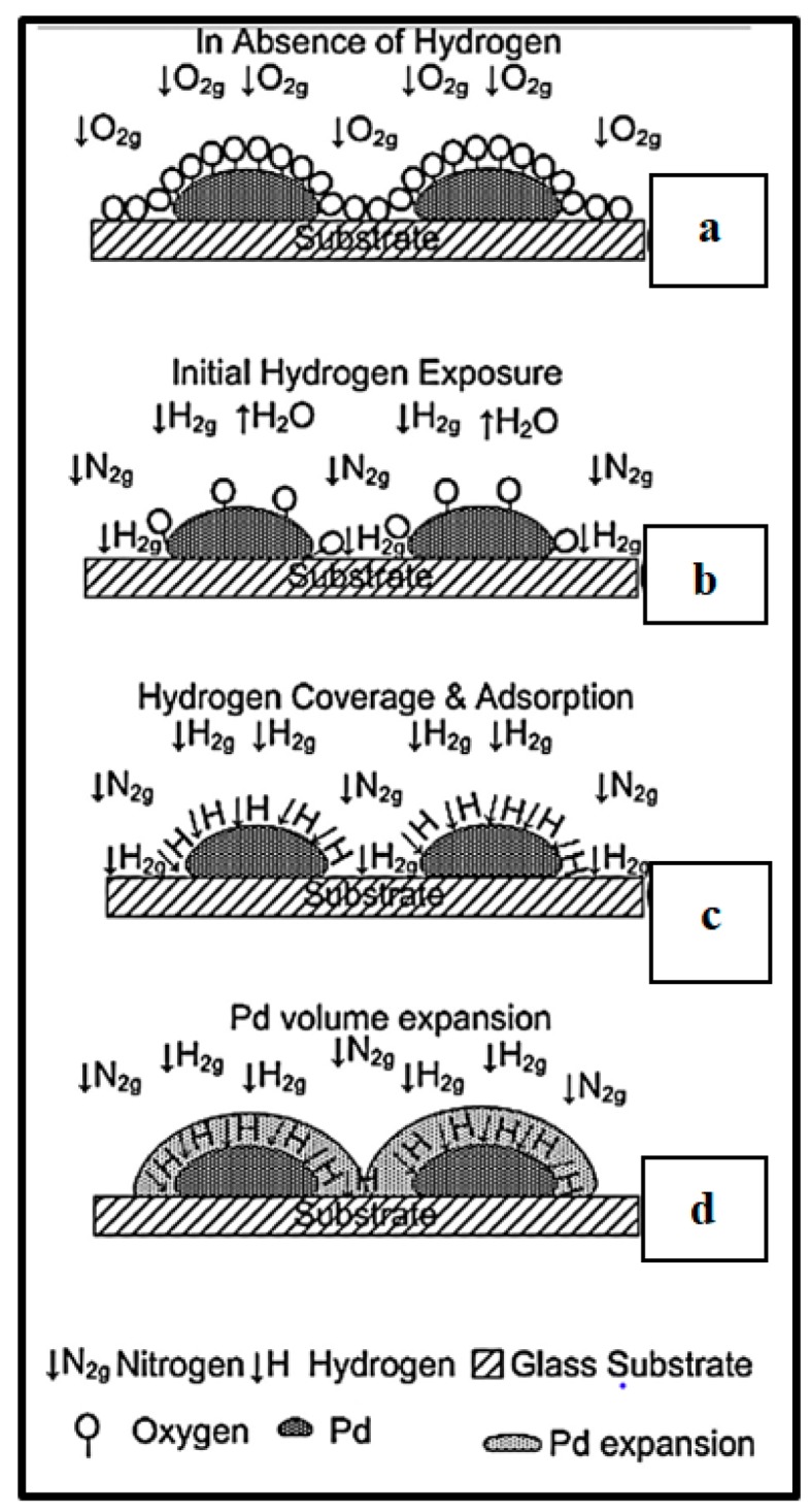 Figure 7