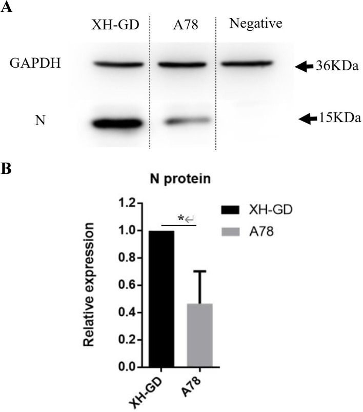 Fig. 7