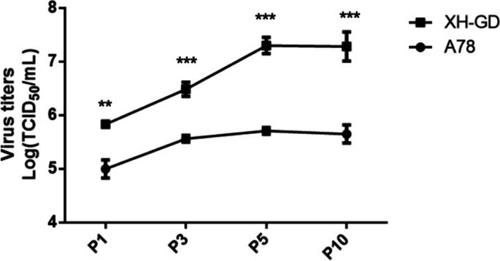 Fig. 8