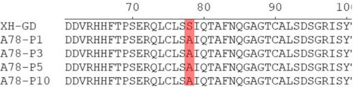 Fig. 9