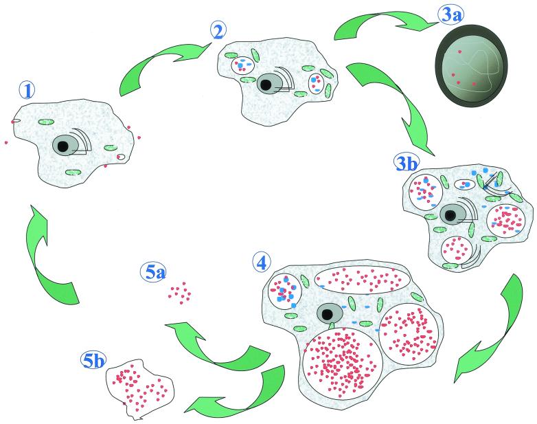 FIG. 7.