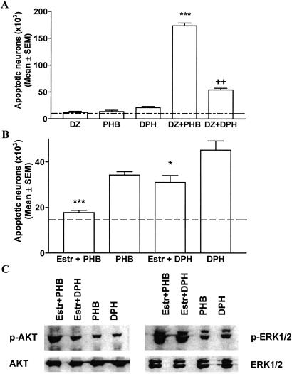 Fig 3.