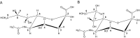 Fig. 22