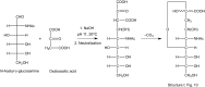Scheme 4