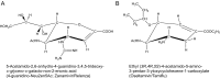 Fig. 33