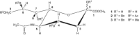 Fig. 12