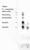 Fig. 23