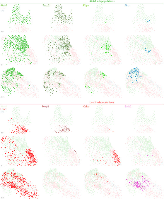 FIGURE 19