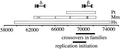 Figure  1