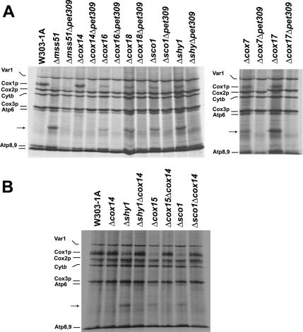 Figure 3.