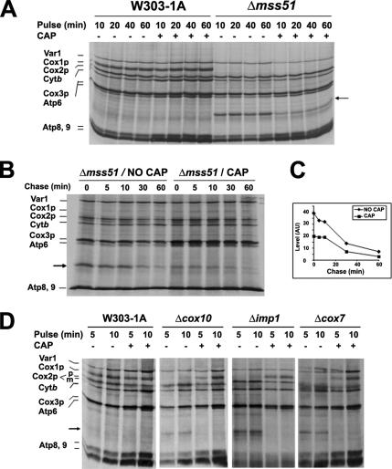 Figure 5.