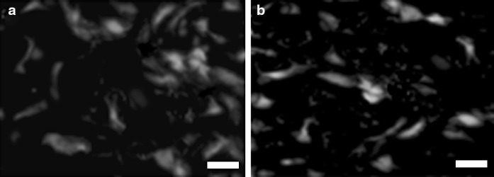 Fig. 6