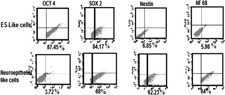 Fig. 7