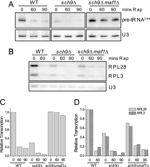 FIGURE 4.