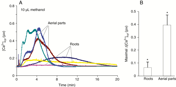 Fig. 6.