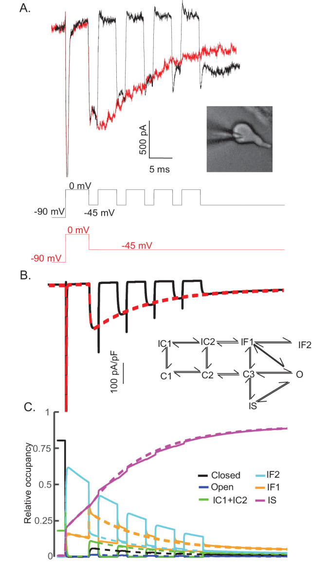 Figure 8.