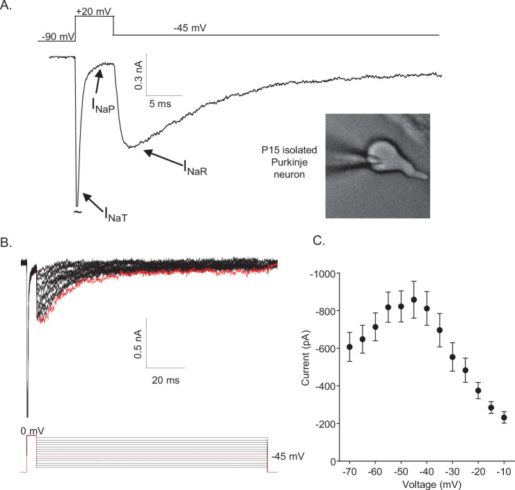 Figure 1.