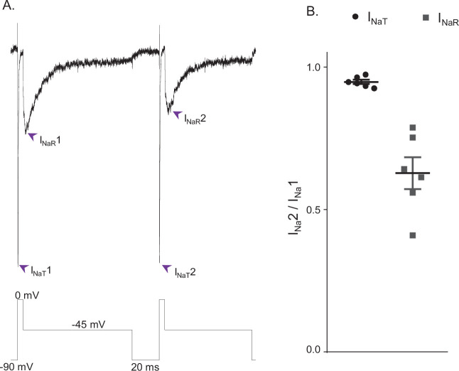 Figure 5.