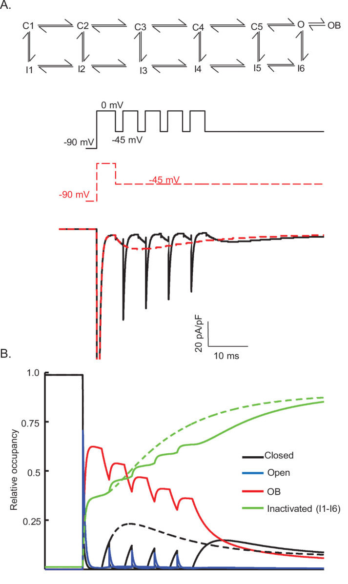 Figure 8—figure supplement 1.