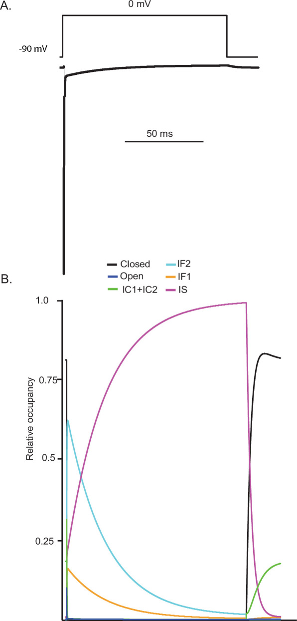 Figure 4—figure supplement 1.