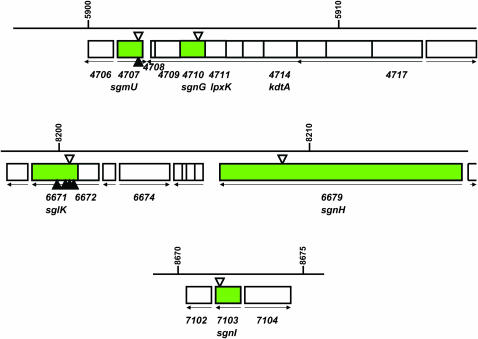 Figure 2.—