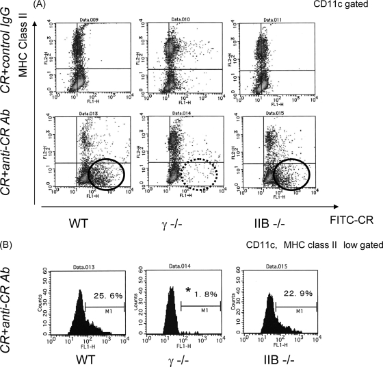 FIG. 2.