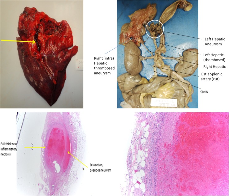 Figure 3: