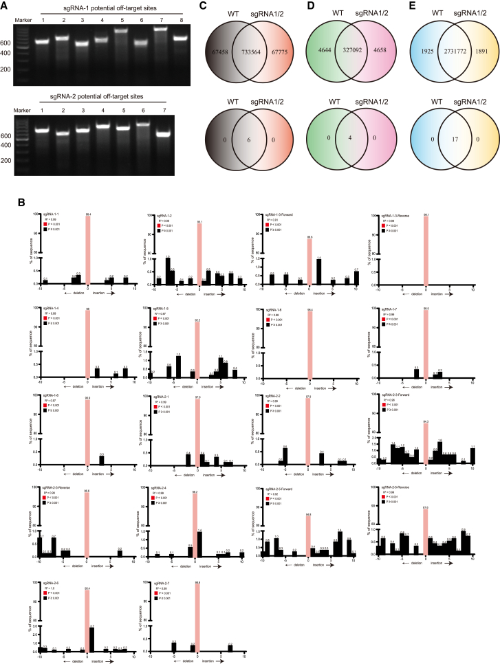 Figure 3