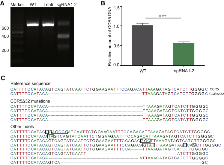 Figure 4